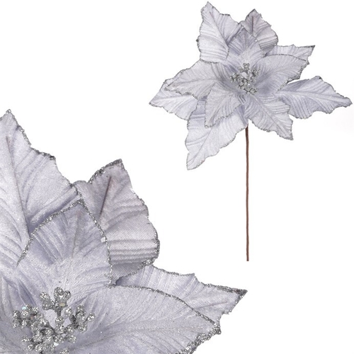 Vánoční růže - sametový květ, barva stříbrná