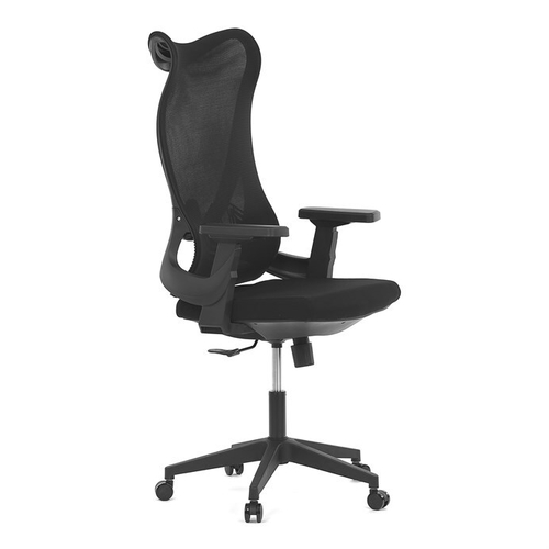 Kancelářská židle, houpací mechanismus, černá síťovina, KA-S248 BK