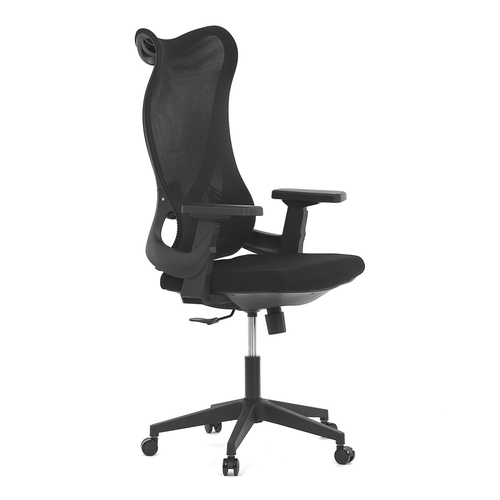 Kancelářská židle, houpací mechanismus, černá síťovina, KA-S248 BK