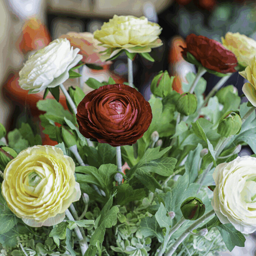 Ranunculus - umělý řezaný, květ a poupě, tmavě-růžový