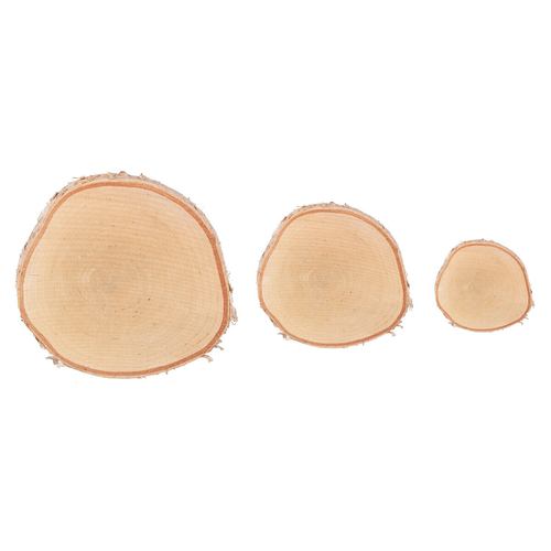 Březové kolečko - pr. 16 cm, přírodní, cena za balení (3 ks)