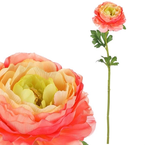 Ranunculus - umělá řezaná květina, barva růžovo-žlutá