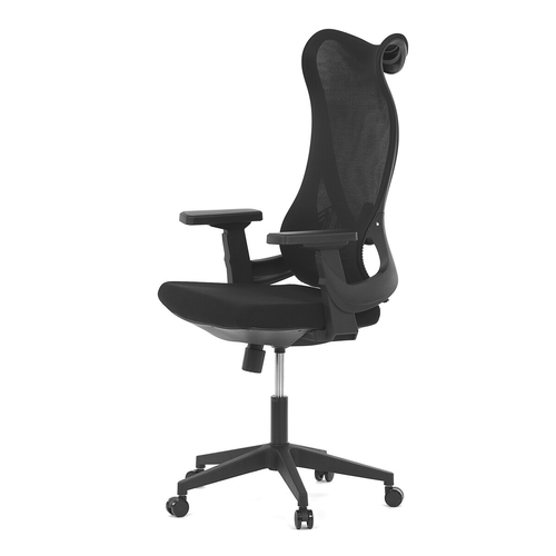 Kancelářská židle, houpací mechanismus, černá síťovina, KA-S248 BK