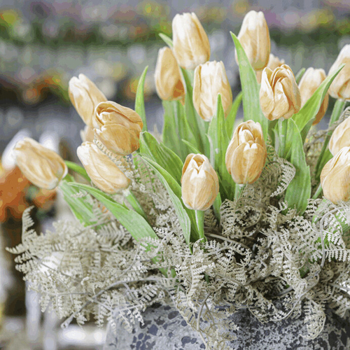 Tulipán plastový - řezaná květina, meruňková, cena za 1 ks