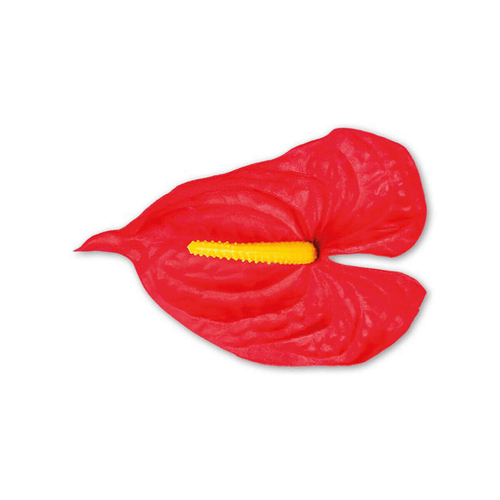 Anturie - umělý květ, barva červená, cena za balení (12 ks)