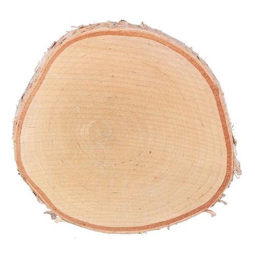 Březové kolečko - pr. 16 cm, přírodní, cena za balení (3 ks)