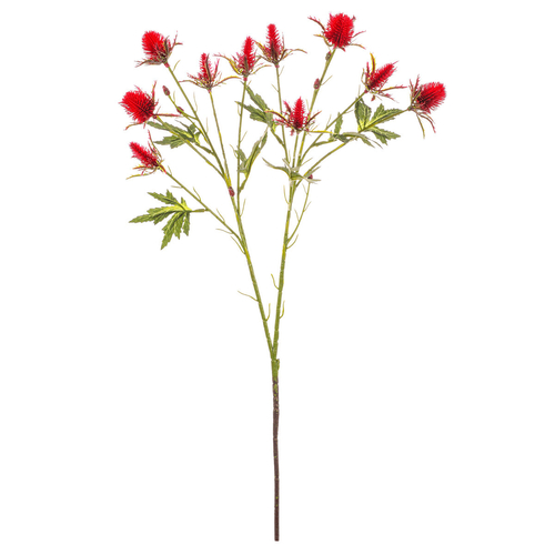 Eryngium - umělý řezaný, barva červená