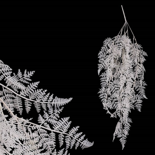 Kapradí - umělá převislá větev, barva bílá