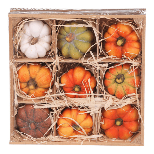 Dýně z terakoty - mix druhů v krabičce, cena za balení (9 ks)