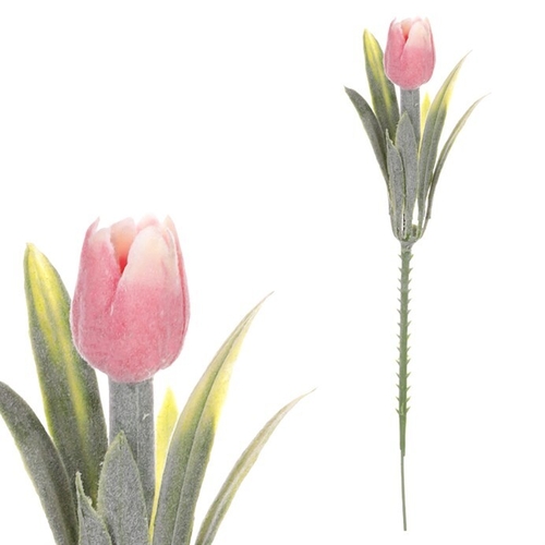 Tulipán mini - zápich, růžový, omrznutý, cena za 1 ks