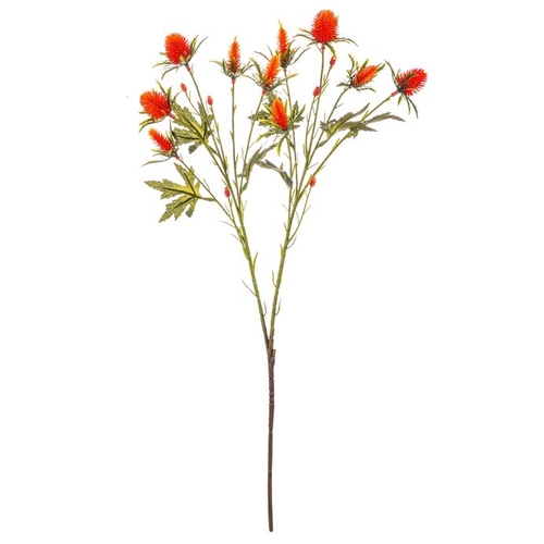 Eryngium - umělý řezaný, barva oranžová