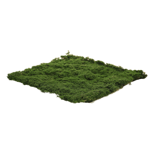 Mech - umělá přízdoba, koberec 50 x 50 cm, tm. zelená