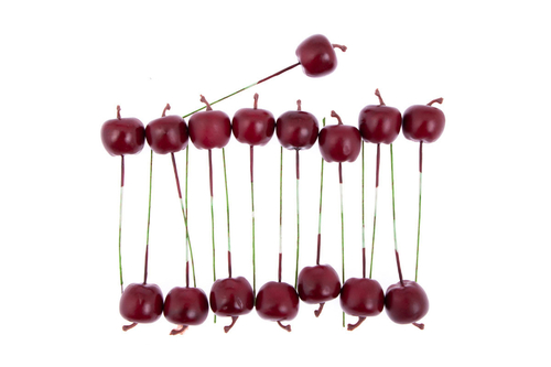 Jablíčka na drátku - červená, cena za balení (16 ks)