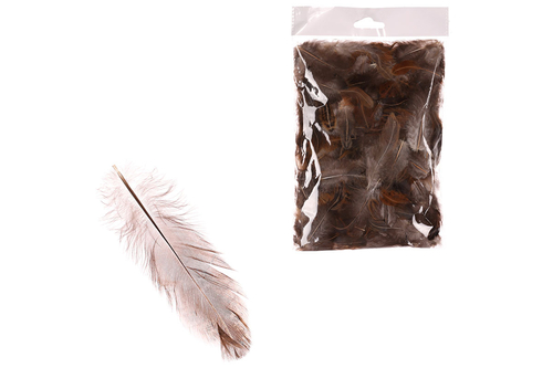 Peří přírodní - na aranžování, hnědé, cena za balení (10 g)