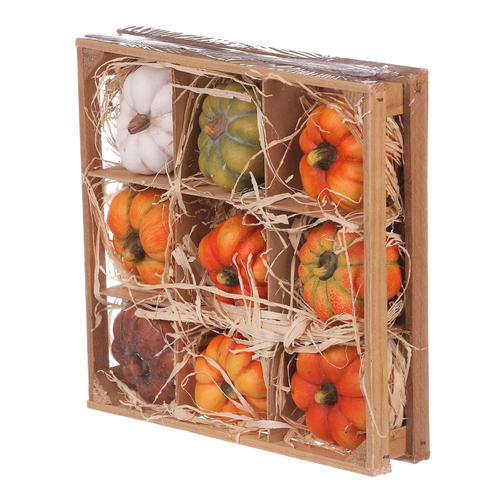 Dýně z terakoty - mix druhů v krabičce, cena za balení (9 ks)