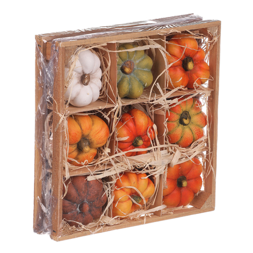 Dýně z terakoty - mix druhů v krabičce, cena za balení (9 ks)