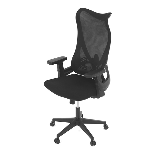Kancelářská židle, houpací mechanismus, černá síťovina, KA-S248 BK