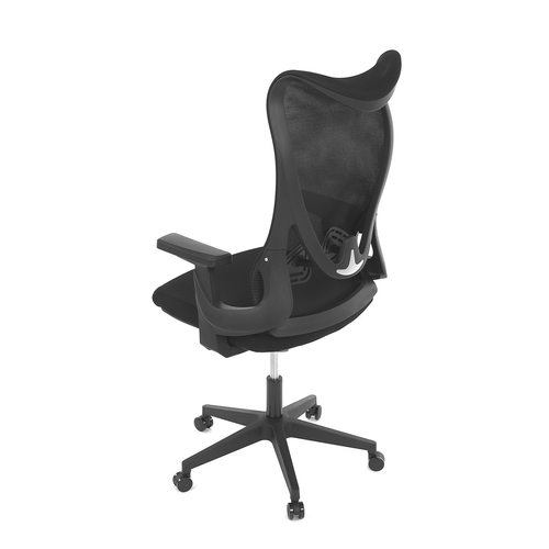 Kancelářská židle, houpací mechanismus, černá síťovina, KA-S248 BK