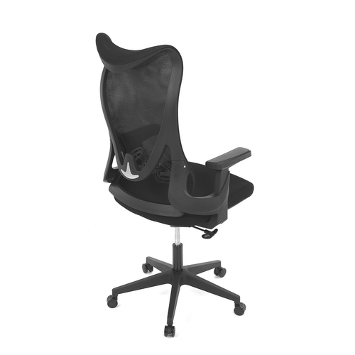 Kancelářská židle, houpací mechanismus, černá síťovina, KA-S248 BK