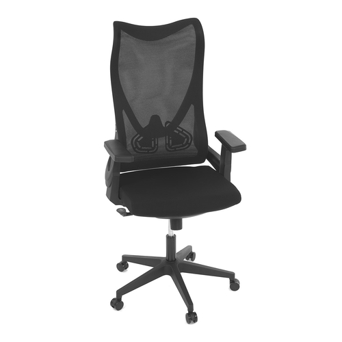 Kancelářská židle, houpací mechanismus, černá síťovina, KA-S248 BK