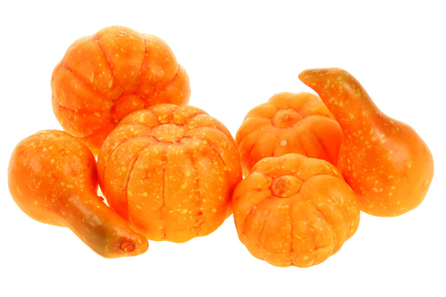 Dýně umělá - mix tvarů, oranžová, cena za balení (6 ks)