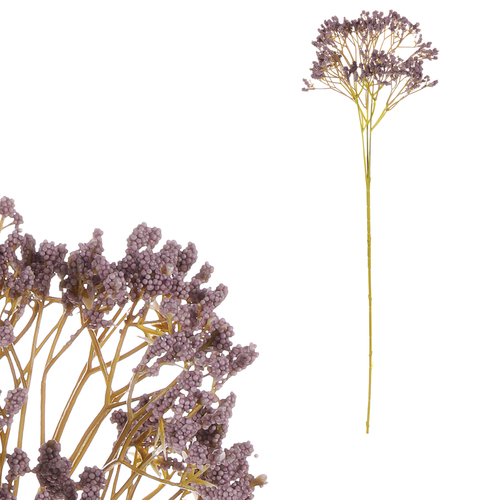 Gypsophila - umělá řezaná, barva tmavě fialová