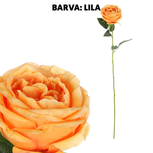 Růže - umělá řezaná květina, fialová