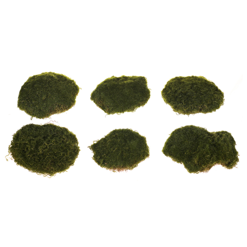 Mech - umělá přízdoba, tmavě zelená, cena za 1 balení