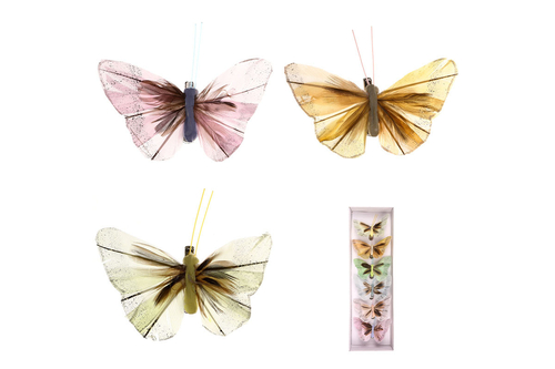 Motýl s klipem, 6ks v krabičce, mix barev, cena za 1 krabičku