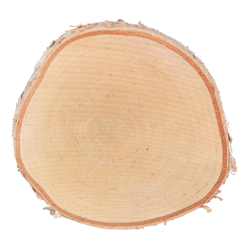 Březové kolečko - pr. 16 cm, přírodní, cena za balení (3 ks)