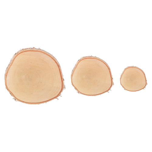 Březové kolečko - pr. 16 cm, přírodní, cena za balení (3 ks)