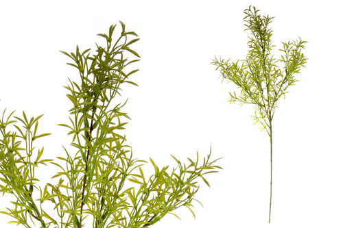 Asparagus - umělá větev, barva zelená