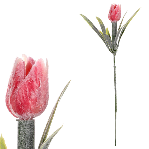 Tulipán mini - zápich, růžový, omrznutý, cena za 1 ks