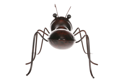 Mravenec - kovová nástěnná dekorace, malá velikost