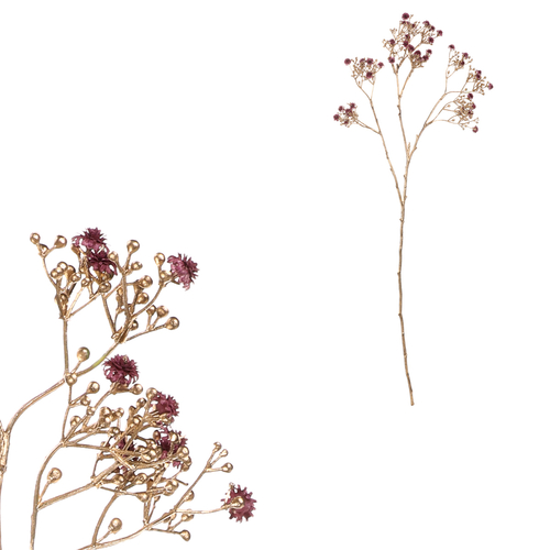 Gypsophila - s pozlacením, fialová kvítka