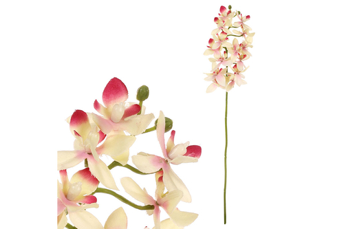 Orchidej drobnokvětá - umělá řezaná, krémovo-růžová