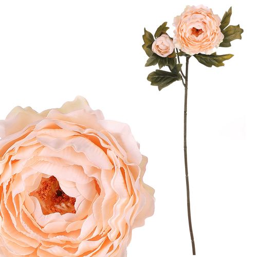 Ranunculus - umělý řezaný, 2 květy, krémový