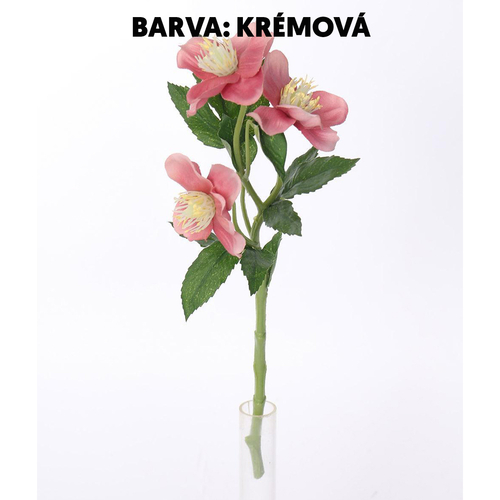 Čemeřice - umělá řezaná květina, krémová