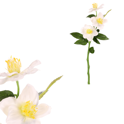 Čemeřice - umělá řezaná květina, krémová