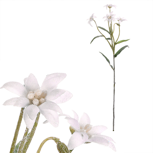 Protěž - umělá řezaná květina, bílá, ojíněná