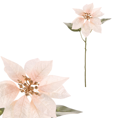 Vánoční růže - umělá řezaná květina, krémovo-zlatá