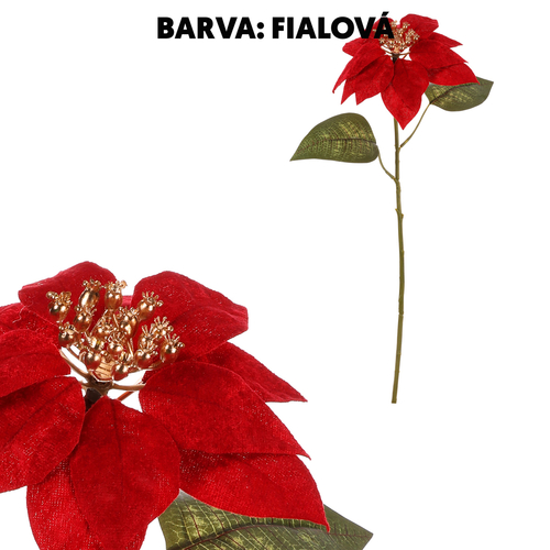 Vánoční růže - umělá řezaná květina, fialovo-zlatá