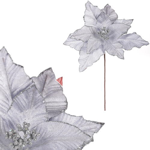 Vánoční růže - sametový květ, barva stříbrná