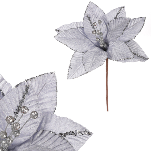 Vánoční růže - sametový květ, barva světle modrá