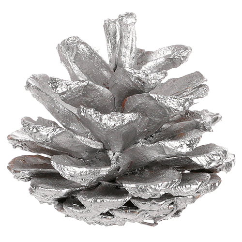 Šiška pravá - barva stříbrná, cena za balení (6 ks)