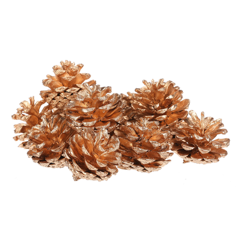 Šišky - pravé borovicové, zlaté, cena za balení (12 ks)