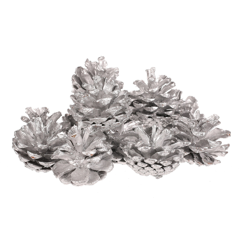 Šišky - pravé borovicové, stříbrné, cena za balení (12 ks)