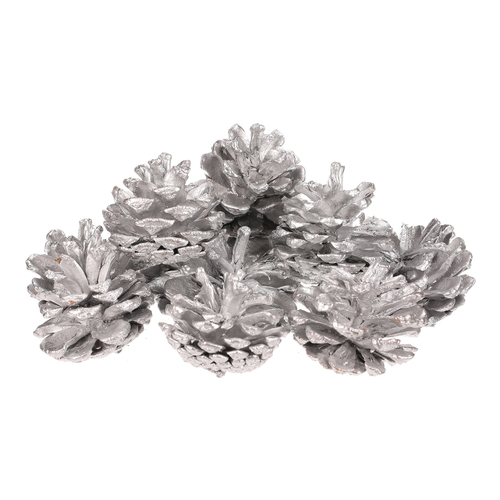 Šišky - pravé borovicové, stříbrné, cena za balení (12 ks)