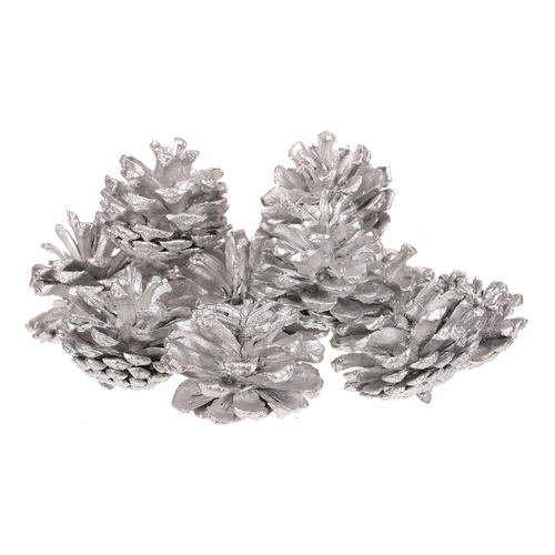 Šišky - pravé borovicové, stříbrné, cena za balení (12 ks)