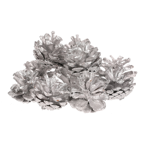 Šišky - pravé borovicové, stříbrné, cena za balení (12 ks)